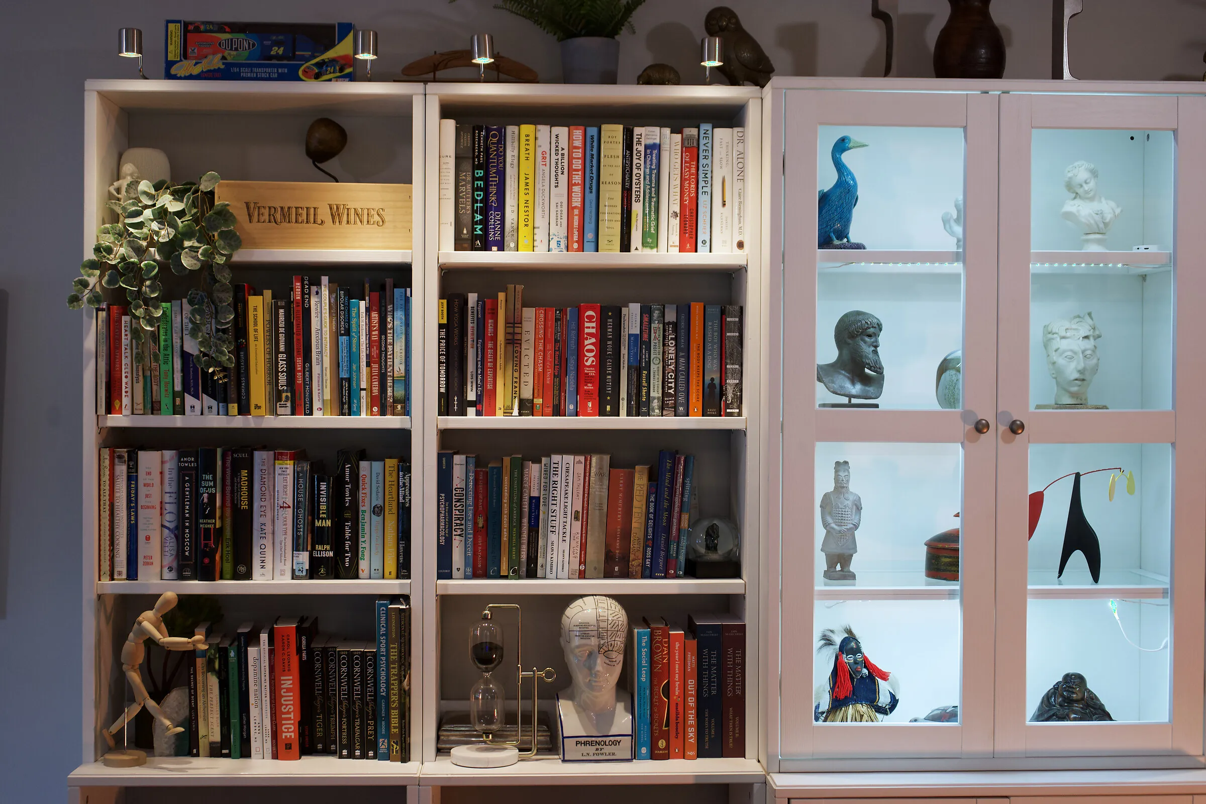 Bookshelves of medical and psychology titles with classical busts and curated objects inside the Chadds Ford office